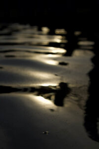 08647dc9 6d26 43b3 8e05 b1243c2c3514