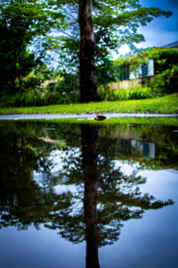 30a23655 ecad 4a9b 866e cb2a2a66ab11