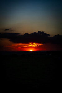 35a28fad 7195 4165 8558 429edcab512f