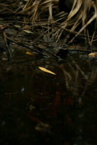 4c372e92 4da2 4a29 b85b d786da35cc98