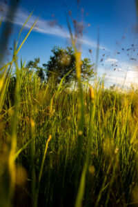 4dd49e30 d5c8 446d be0b f48370493652