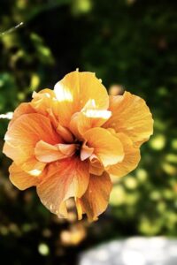 5619921e 69ee 4f45 9f7b 8ed667d261d5