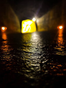 5a388d3a 0398 485c 8ddc e3cf18cc2997