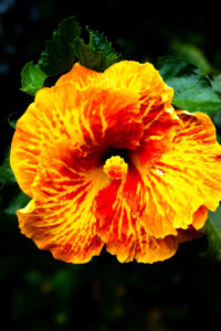 8f3cce1e 7362 462a 9a5a 90728bc28102