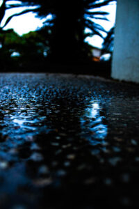 b66ae6f5 2e89 498c ae9b 4e4582ae4cd3