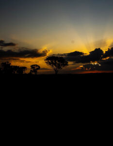 e364bf54 bd7b 49c7 93e3 0fe410e1f800