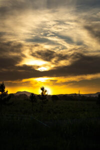 eb2ae371 cb55 46a7 be8b 1f1e4bc42a0e