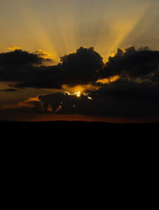 f1c238a7 6be5 436e b46c ce1cbf22b2d2