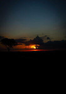 f1ed91f8 7e93 4ad4 9950 7ab93864e977