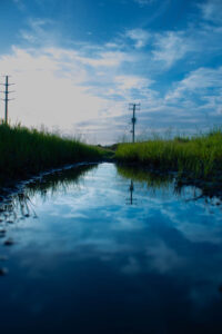 f5147bb4 7bd1 441f 9e92 0d3ee58c9c23