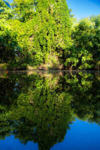 fe151792 d2b3 4ddd 83d6 f7d382613fa8